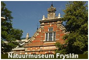 Naturmuseum Friesland - Diese Fotos knnen Sie anklicken und vergrern